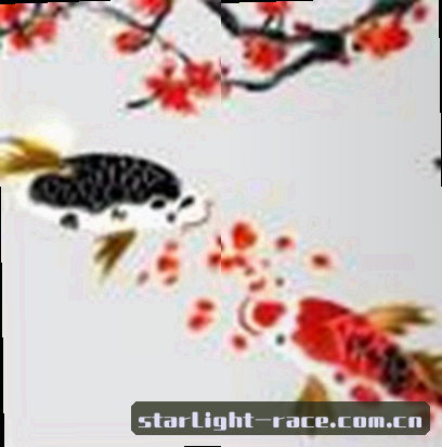 赵明